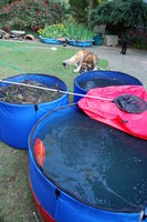 K03.jpg