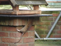 DSC01011.JPG