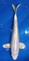 12094A.jpg