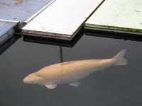 DSC01014.JPG