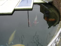 DSC01052.JPG