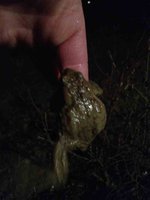 ImageUploadedByTapatalk1330892985.966983.jpg