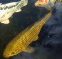14.07.2011 027.JPG