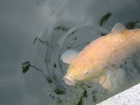 794c2246.l.jpg