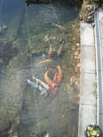 DSCF0335.JPG