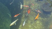 Koi Teich 007.JPG