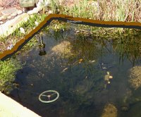 Inteichfilter.jpg