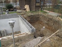 IMG_1113.jpg