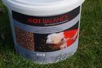 Koi Balance 1.jpg