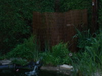 DSC07723.JPG