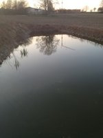 ImageUploadedByTapatalk1334069641.165568.jpg