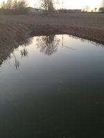 ImageUploadedByTapatalk1334069791.019797.jpg