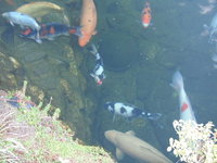 DSCF0386.JPG