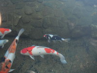 DSCF0398.JPG