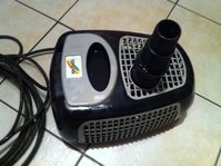 IMG_0500.JPG