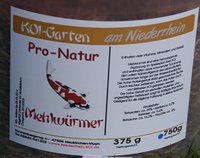 Mehlwürmer 2.jpg