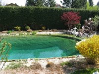 IMG_4727.jpg