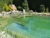 IMG_4725.jpg