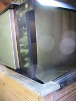 IMG_4731.jpg