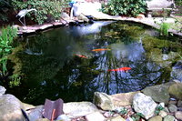 2012 04 19 021.jpg