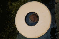 2012 04 19 030.jpg