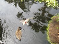 IMG_2082.jpg