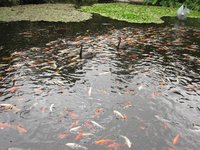IMG_2097.jpg