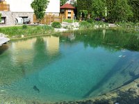 IMG_1998.jpg