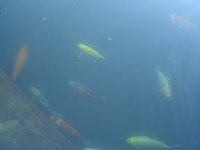 DSC08363.jpg