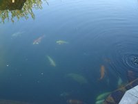 DSC08365.jpg