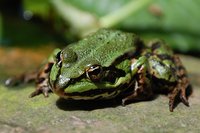 2012 04 30 015.jpg