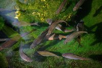 2012 04 30 038.jpg