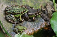 2012 04 30 043.jpg