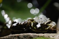 2012 04 30 054.jpg