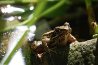 2012 04 30 056.jpg