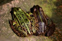 2012 04 30 061.jpg