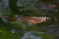 2012 04 30 077.jpg