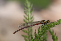 IMG_0701.jpg