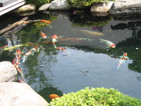 Zoo-Flottmann 023.jpg