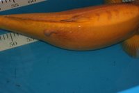 DSC03481.jpg