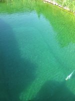 IMG_4872.jpg