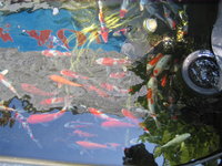 Zoo-Flottmann 005.jpg