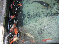 Zoo-Flottmann 007.jpg