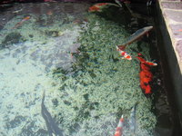 Zoo-Flottmann 008.jpg