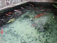 Zoo-Flottmann 009.jpg