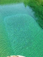 IMG_4899.jpg
