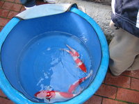 Zoo-Flottmann 027.jpg