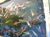 Zoo-Flottmann 013.jpg