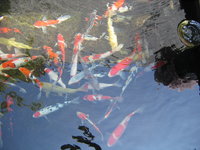 Zoo-Flottmann 015.jpg