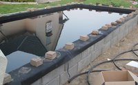 K800_Teich_ (287) - Kopie.JPG